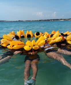 Supervivencia y Ditching